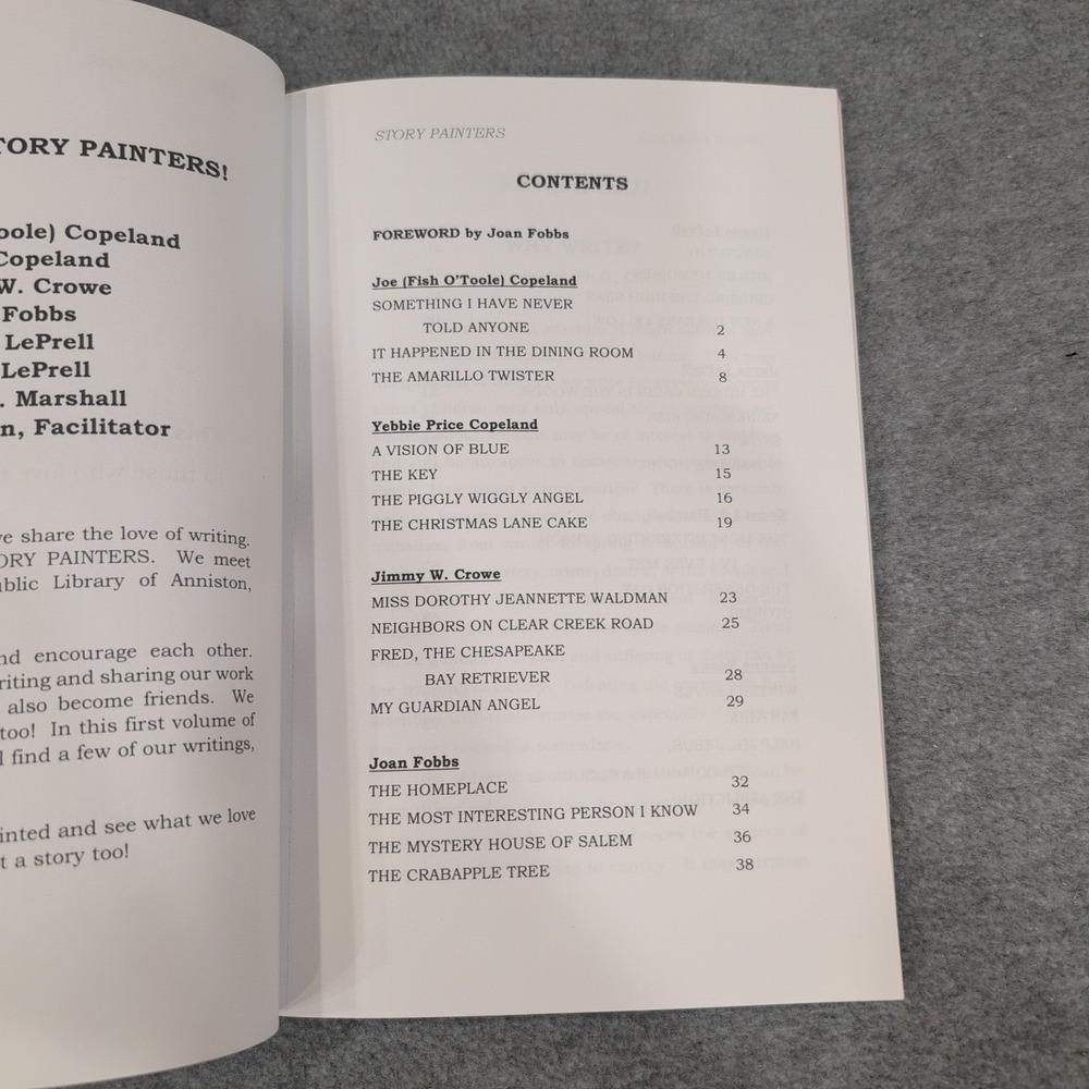 Story Painters Volume One Anthology‎ Book Signed by Authors - Picture 4 of 12